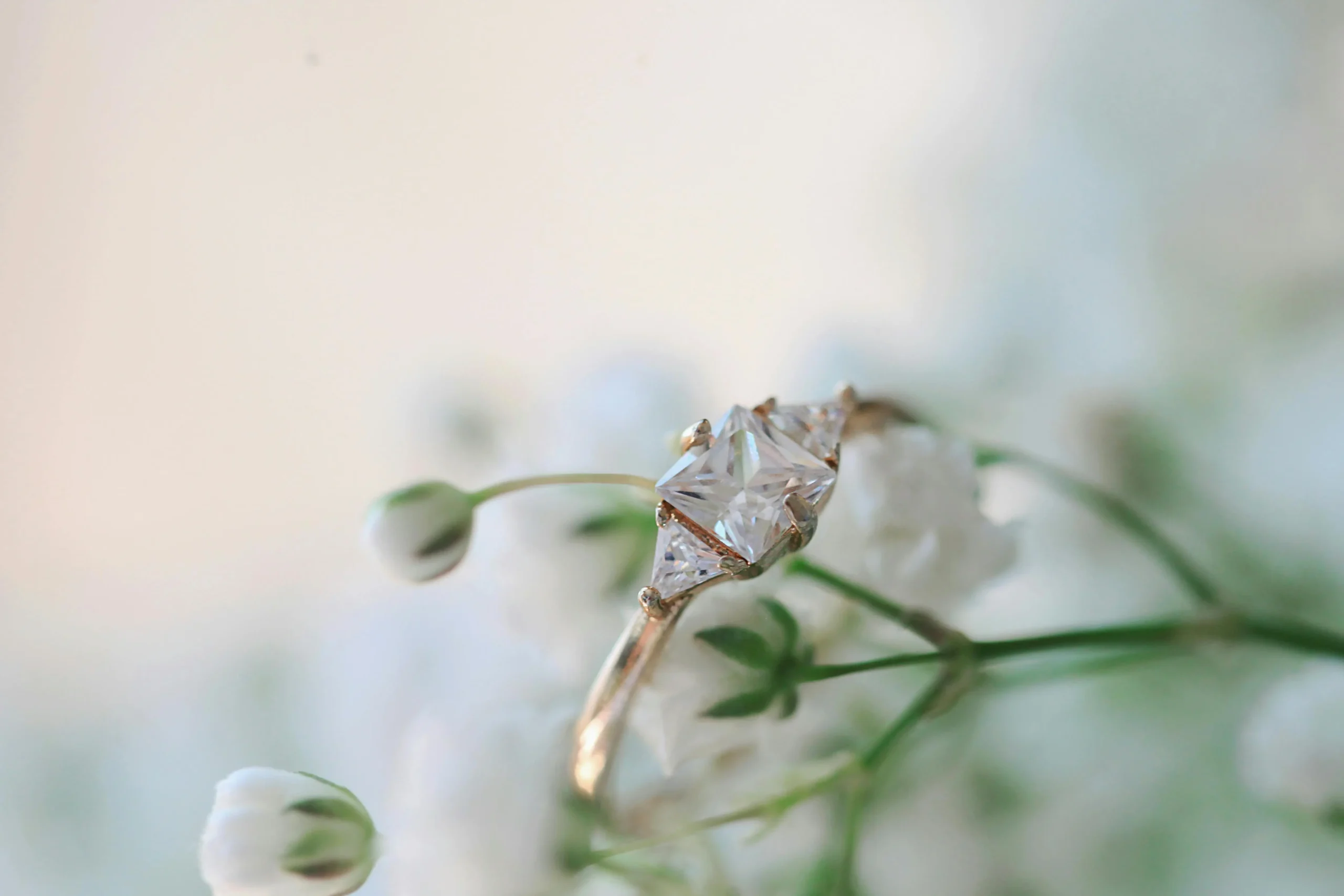 Anillos de bodas diferentes prosupuestos