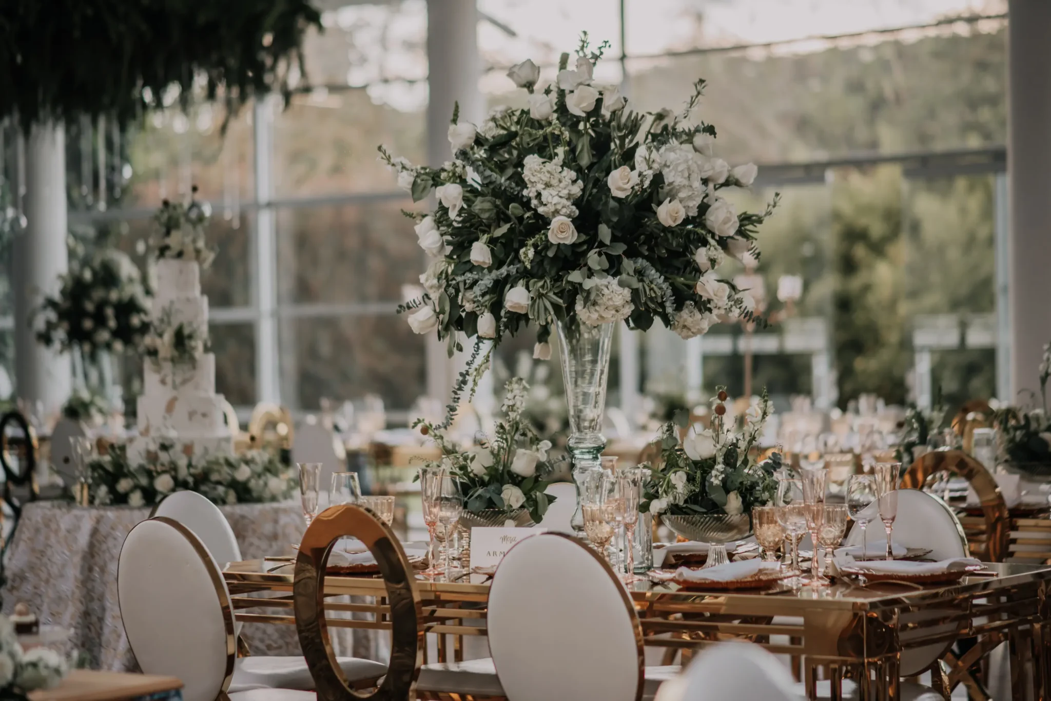 53586470587_2e43a7c150_o