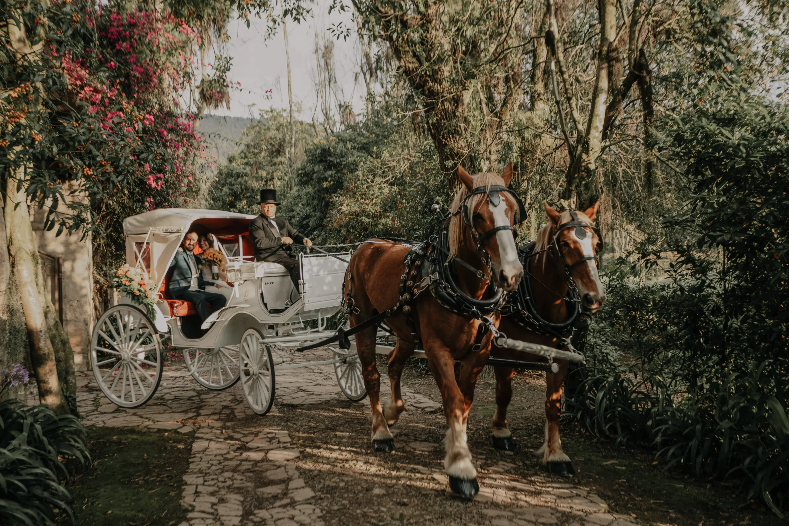 Parejas de recién casados montados en un carruaje diciéndose hacia la recepción donde festejaran su boda 